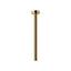 MAIER 60181 Round Ceiling Arm