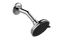 GRAFF Various G-8312 Transitional Showerhead with Arm