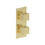 AQUALEM HW2005.TR Opus 3/4" Square Thermostatic Valve Trim (REQ.: HW2200.RI OR HW2300.RI)