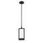 EUROFASE 35948 2-Light 17in Integrated Led Pendant
