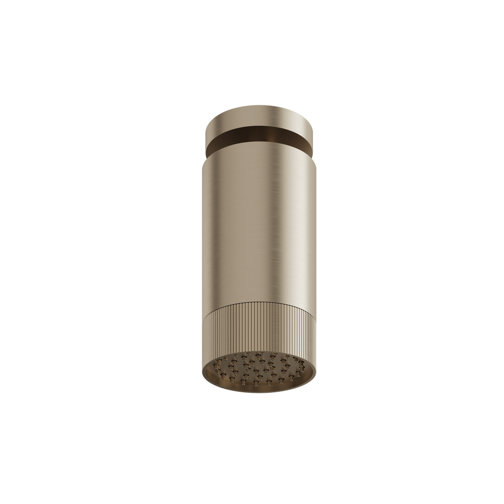 Aquabrass Rainheads SPT65 Shower Head with Ceiling Arm Textured Ring