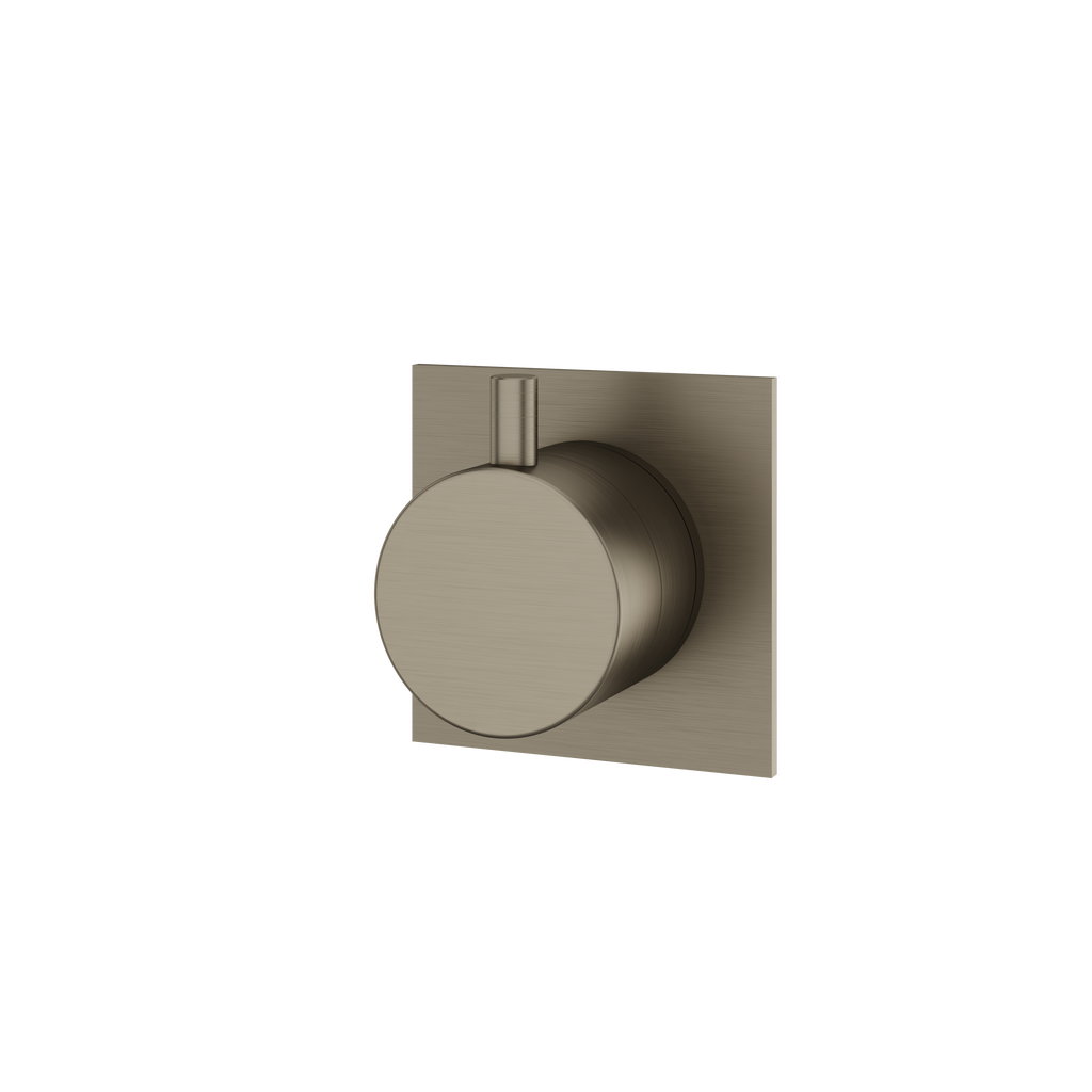 Aquabrass Shower Trims 93922 Square/round Trim Set 2-Way Shared 61934 Diverter
