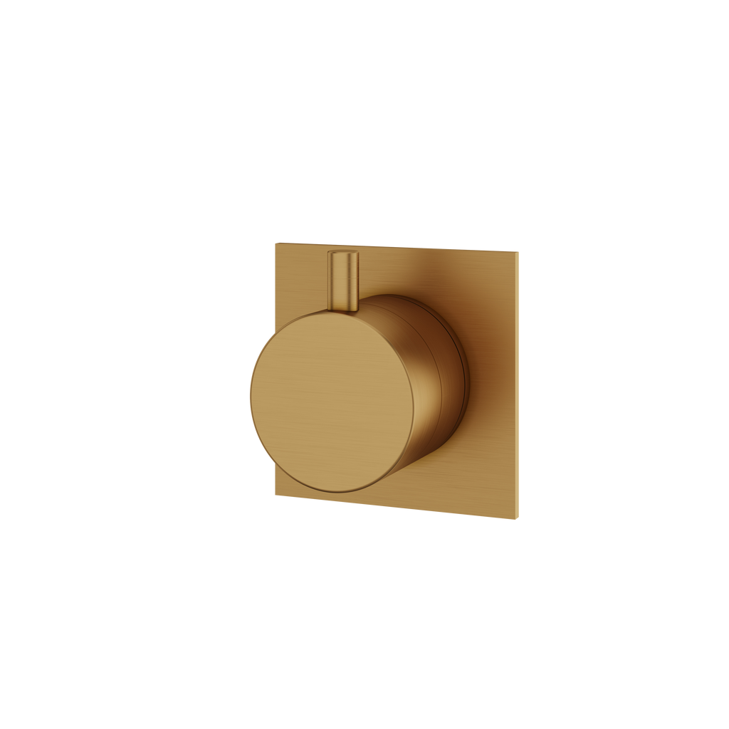 Aquabrass Shower Trims 93922 Square/round Trim Set 2-Way Shared 61934 Diverter