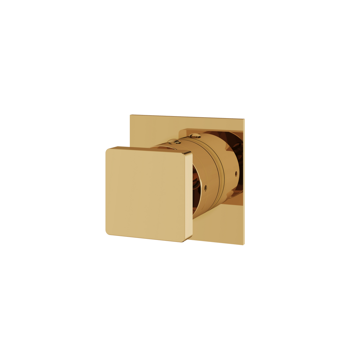 Aquabrass Shower Trims 93923 Square Trim Set 2-Way Shared 61934 Diverter