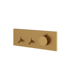 Aquabrass Aquaduct DI2W Dimmer 2-Way Shower Trim