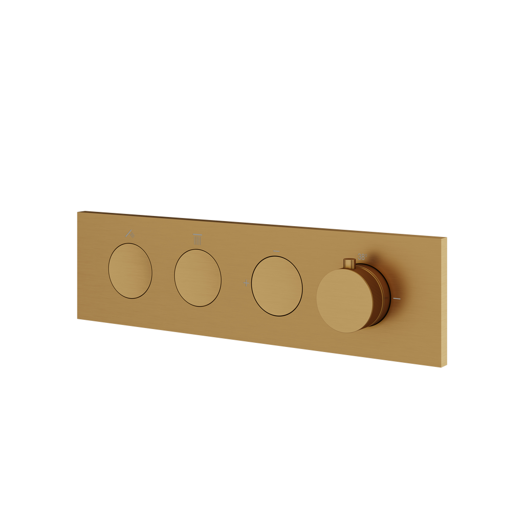 Aquabrass Aquaduct FL2W Flush 2-Way Shower Trim