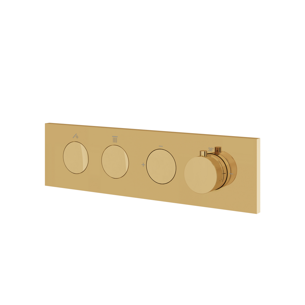 Aquabrass Aquaduct FL2W Flush 2-Way Shower Trim