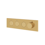Aquabrass Aquaduct FL2W Flush 2-Way Shower Trim