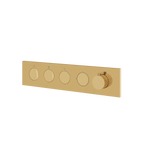 Aquabrass Aquaduct FL3W Flush 3-Way Shower Trim