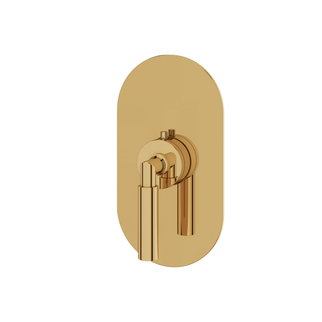Aquabrass Aria R3048 Trim Set T12000 Valve