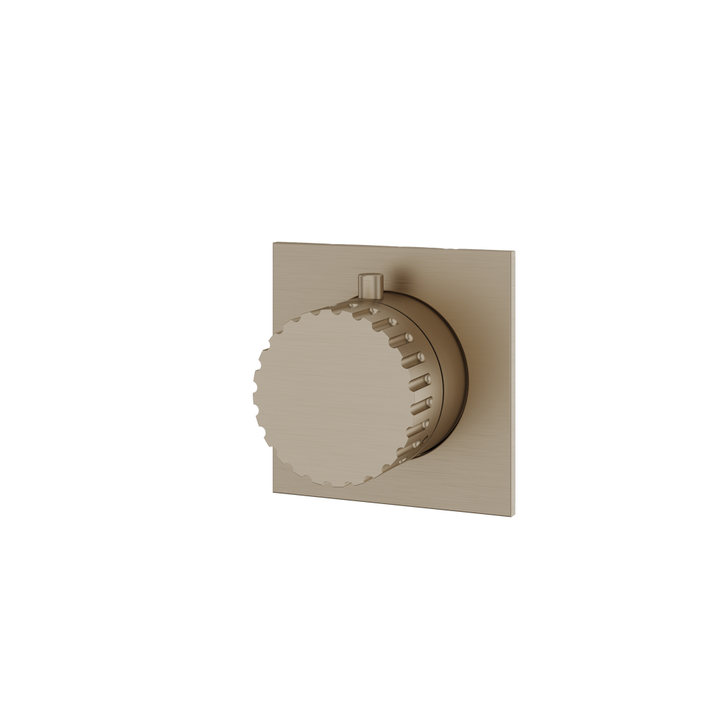 Aquabrass Tosca SR1234 Trim Set 2WNS 61934 Valve