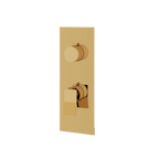 Aquabrass Chicane SR9219 Trim Set 2WNS T12123 Valve