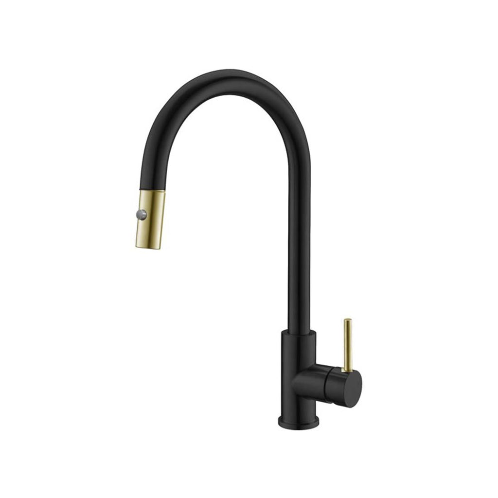 AQUALEM CF8036-BSS Universal Pull-down Kitchen Faucet