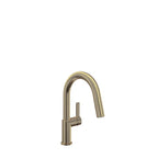 BARIL VISION CUI-9255-02L Single-hole bar / prep kitchen faucet with 2-function pull-down spray