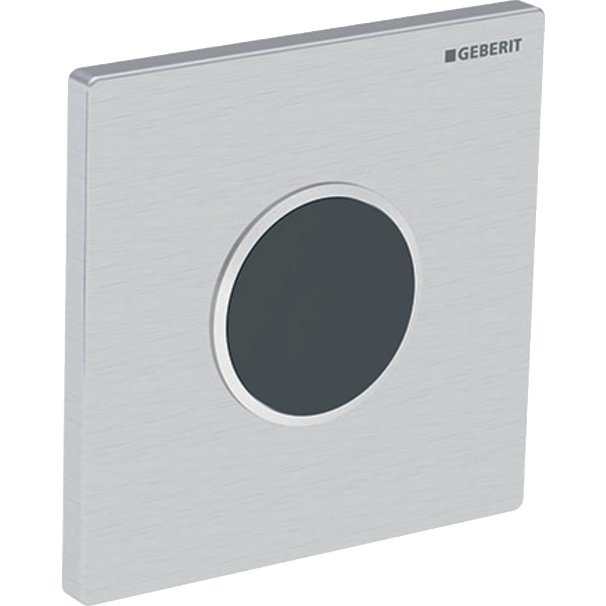 GEBERIT 241.925.Sn.1 Cover Plate Type 10 Main image