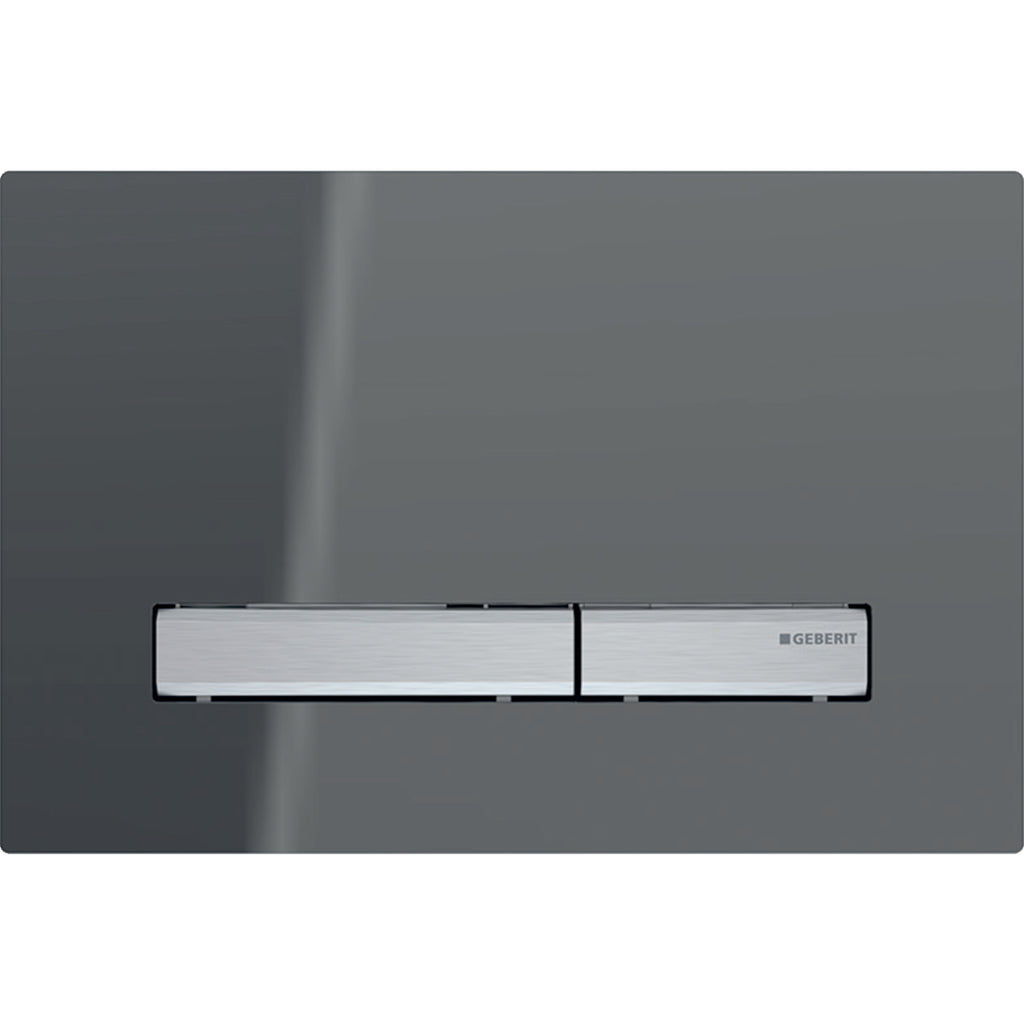 GEBERIT 115.788.00.2 Actuator Plate Sigma50, For Dual Flush