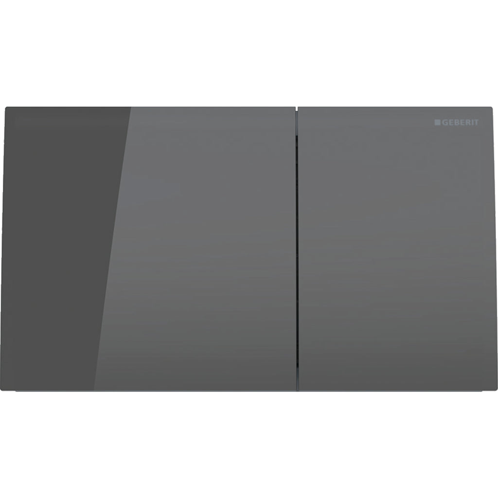 GEBERIT 115.622.14.1 Sigma70 Actuator Plate For Dual Flush