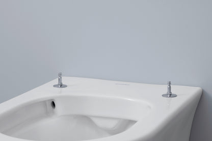 DURAVIT 257609 Tulip Wall Mounted Toilet