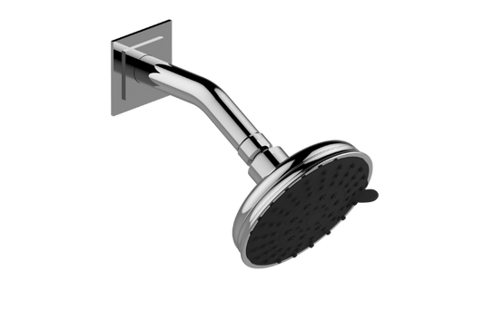 GRAFF Various G-8313 Transitional Showerhead with Arm
