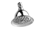 GRAFF Various G-8450 Traditional 4-3/8" Tulip Showerhead