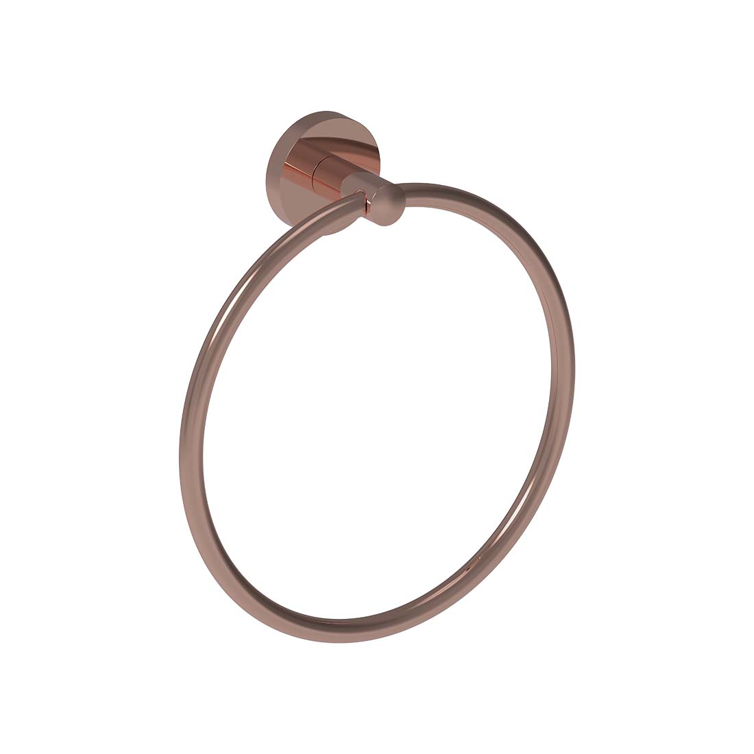 AQUALEM GJ1105 Serie 05 Accessory Towel Ring