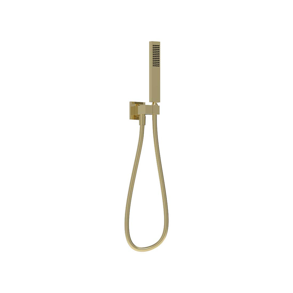 AQUALEM HSK0005 Universal Handheld Shower Kit