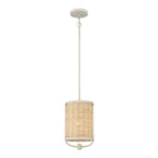 EUROFASE 38158 1 Light Pendant