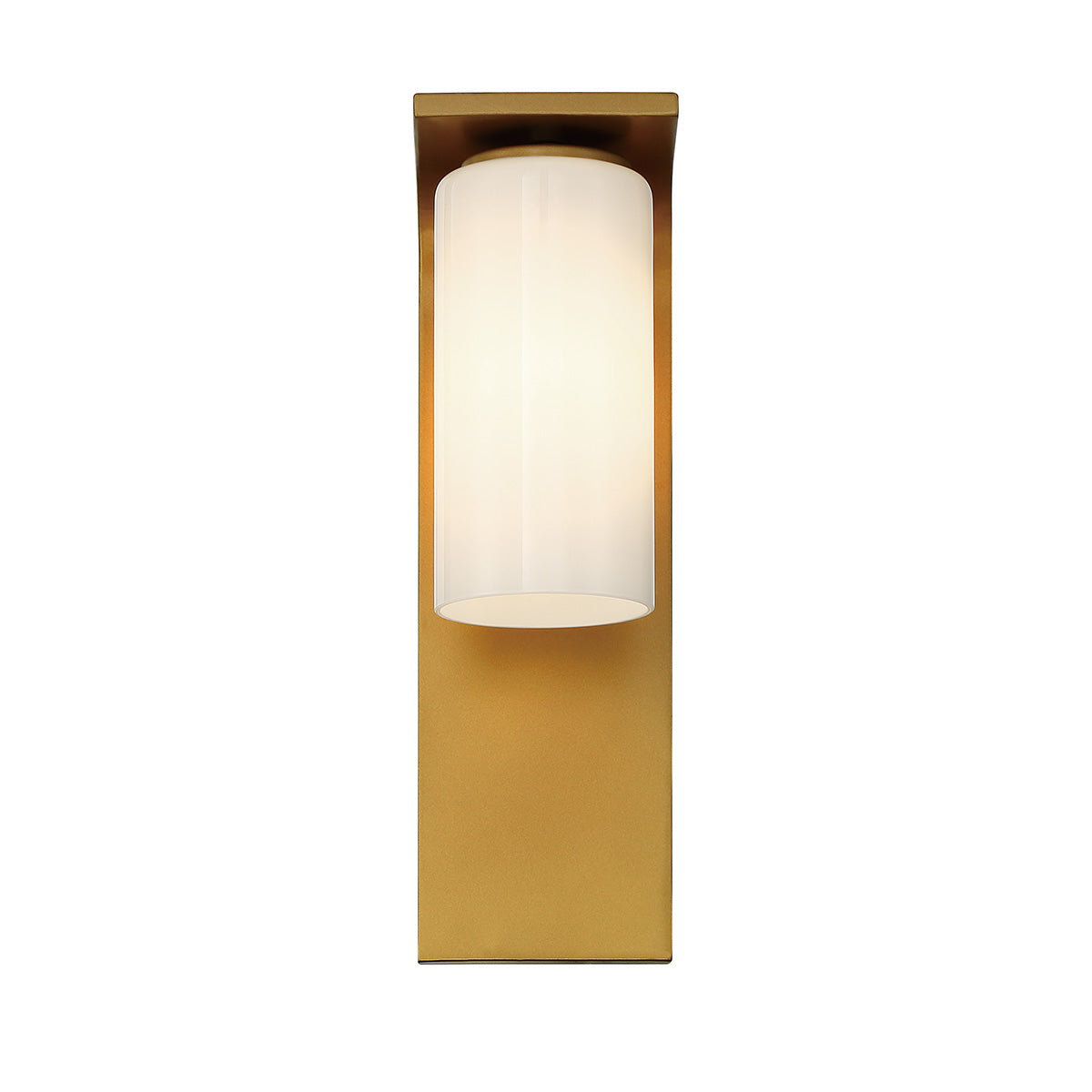 EUROFASE 41972 20in Outdoor Wall Sconce Main image