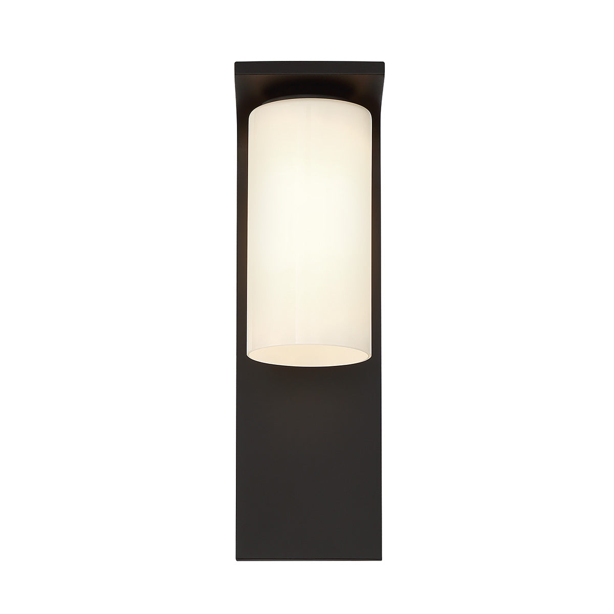 EUROFASE 41972 20in Outdoor Wall Sconce Secondary image