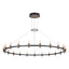 EUROFASE 37045 21-Light 60in Integrated Led Grand Chandelier