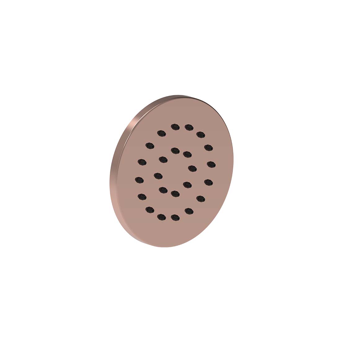 AQUALEM PR1101 Universal 4" Body Spray
