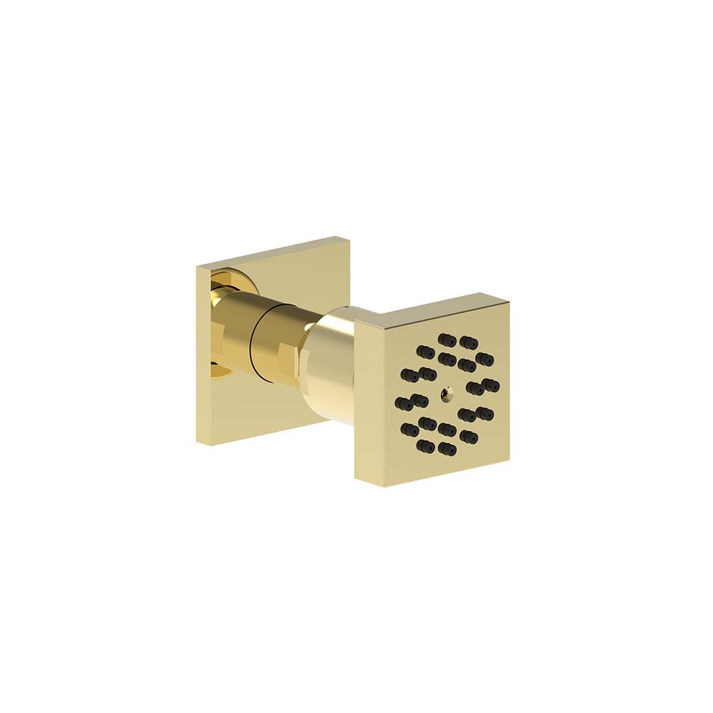 AQUALEM PS1501 Universal Adjustable Body Spray