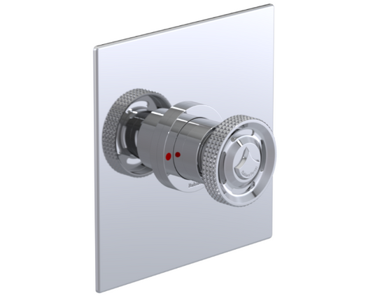 RUBINET 202LAR LaSalle Pressure Balance Shower with Fixed Shower Head & Arm 8? Wall Mount Trim Only