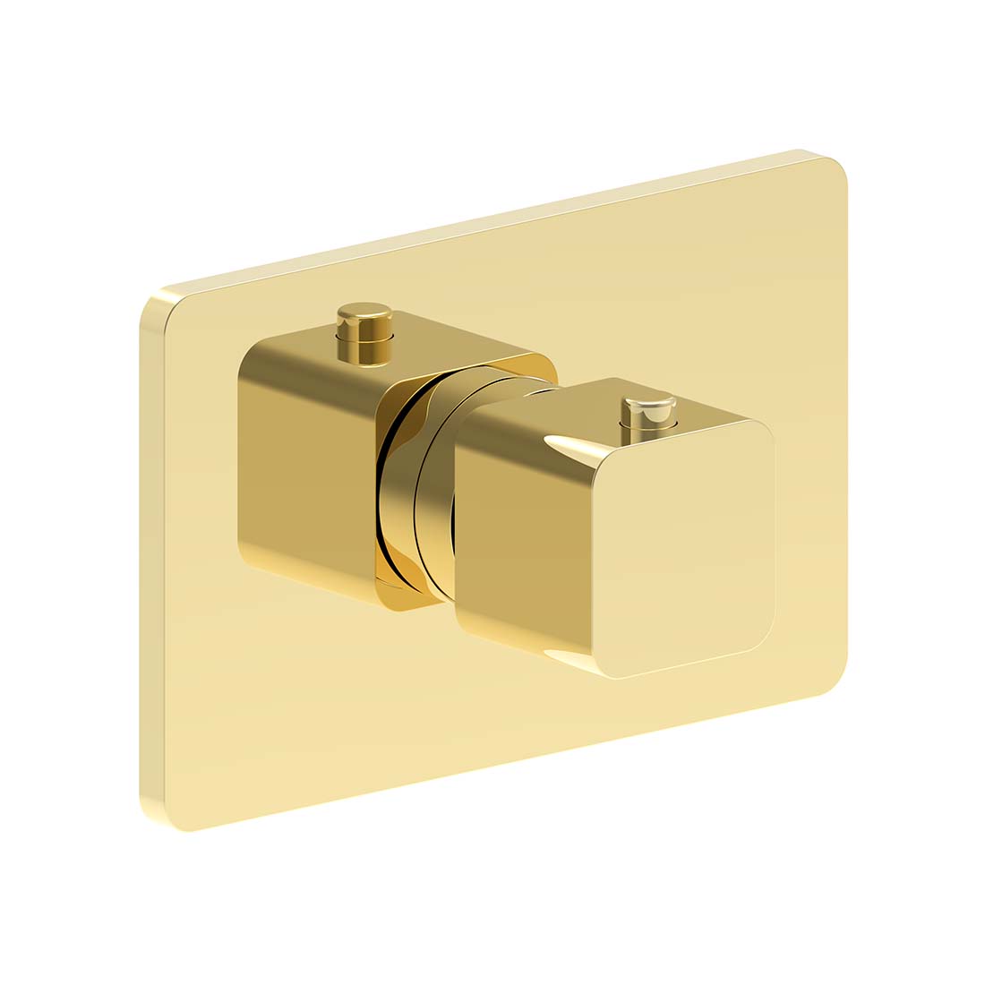 AQUALEM TV3004.TR Morandi 3/4" Thermostatic Valve Trim (REQ.: TV3000.RI)