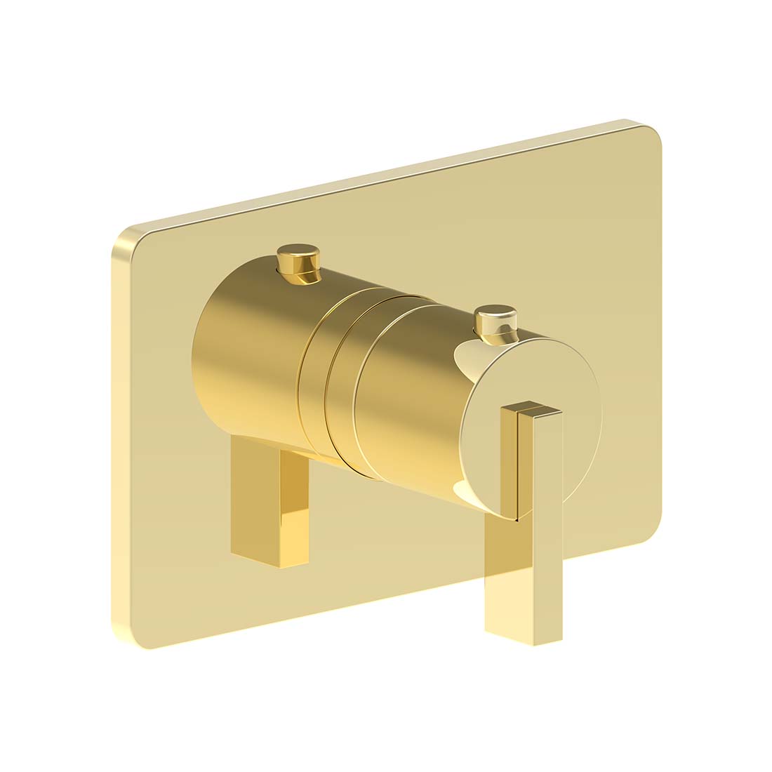 AQUALEM TV3023.TR Ono 3/4" Thermostatic Valve Trim (REQ.: TV3000.RI)