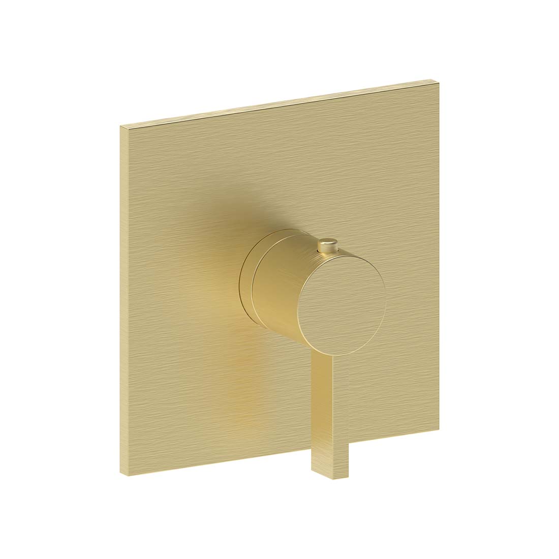 AQUALEM TV3025.TR Arch 3/4" Thermostatic Valve Trim (REQ.: TV3000.RI)