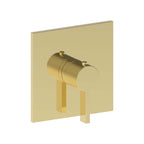 AQUALEM TV3025.TR Arch 3/4" Thermostatic Valve Trim (REQ.: TV3000.RI)