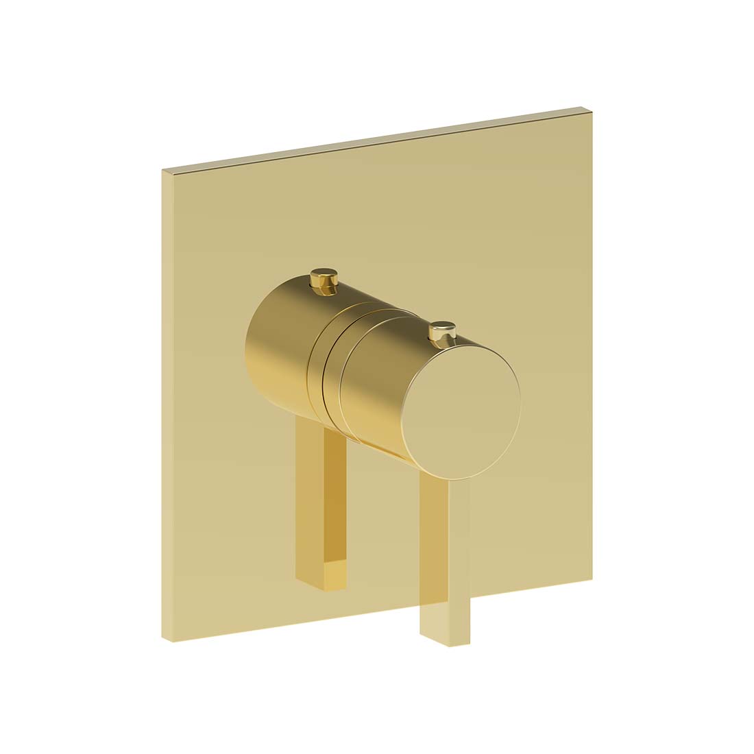 AQUALEM TV3025.TR Arch 3/4" Thermostatic Valve Trim (REQ.: TV3000.RI)