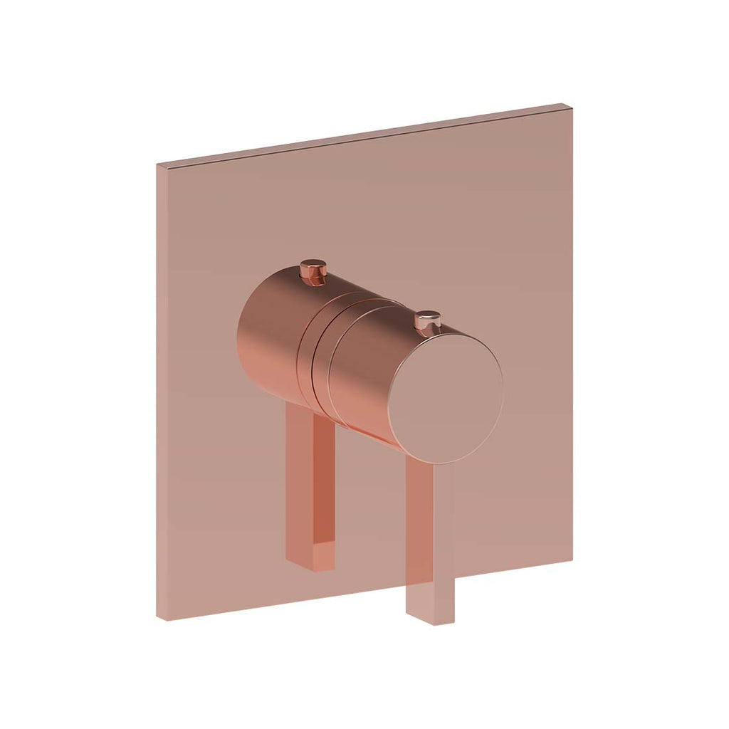 AQUALEM TV3025.TR Arch 3/4" Thermostatic Valve Trim (REQ.: TV3000.RI)