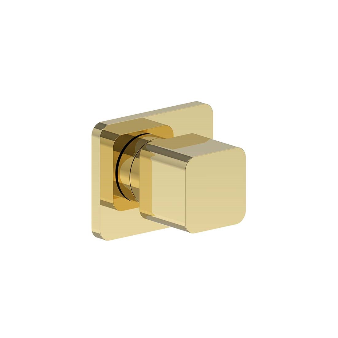 AQUALEM VC3004.TR Morandi 3/4" Volume Control Valve Trim (REQ.: VC3000.RI / DV3200.RI)